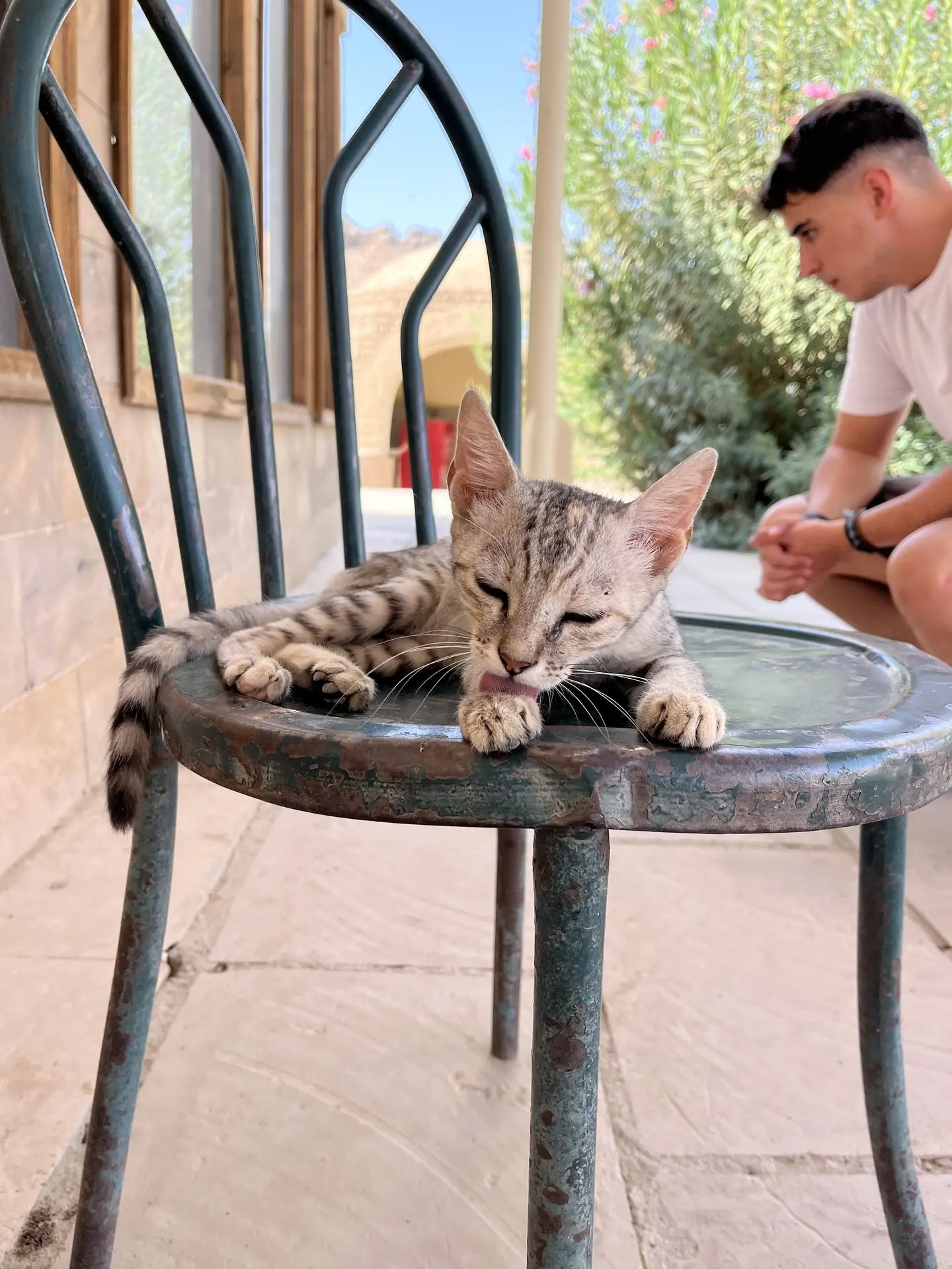 Gato con Jordi en el templo de Philae