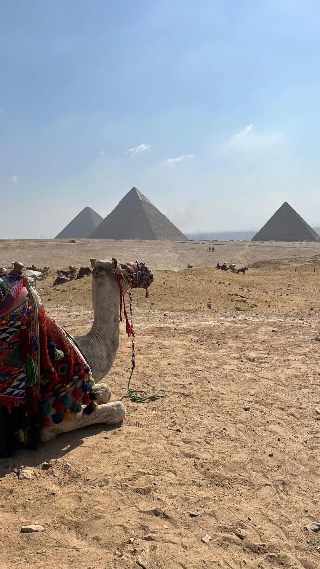 Egipto - Crucero por el Nilo (8 Días)